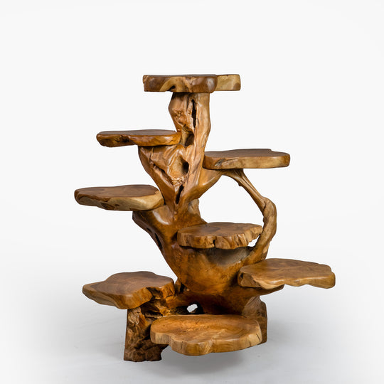 The Saka Display Shelf