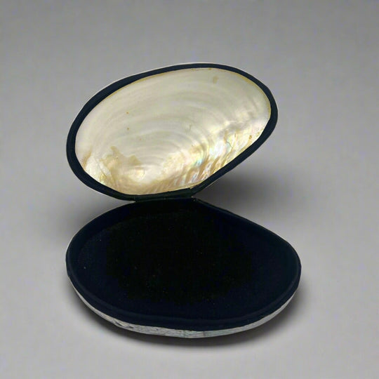 White Iridescent Shell Jewelry Box