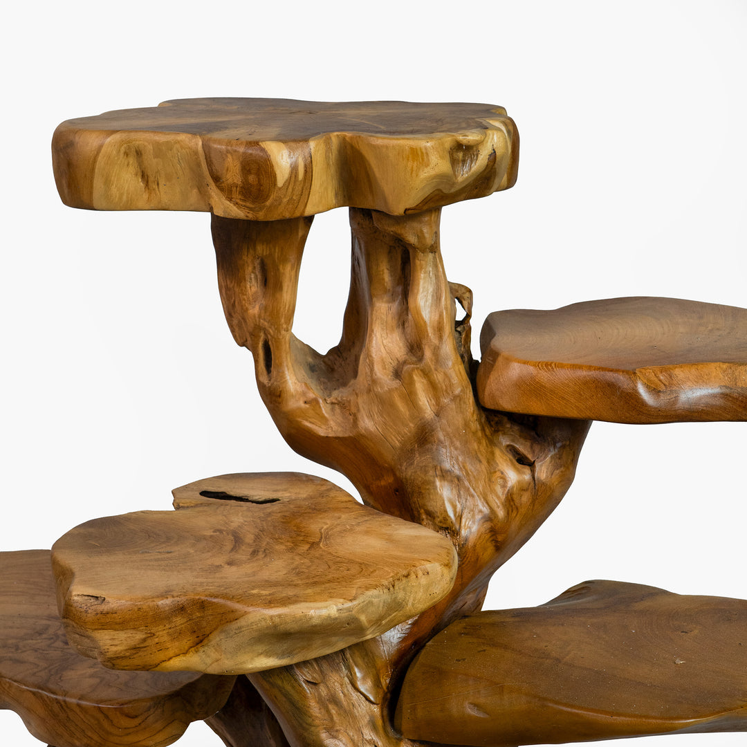 The Loka Display Shelf