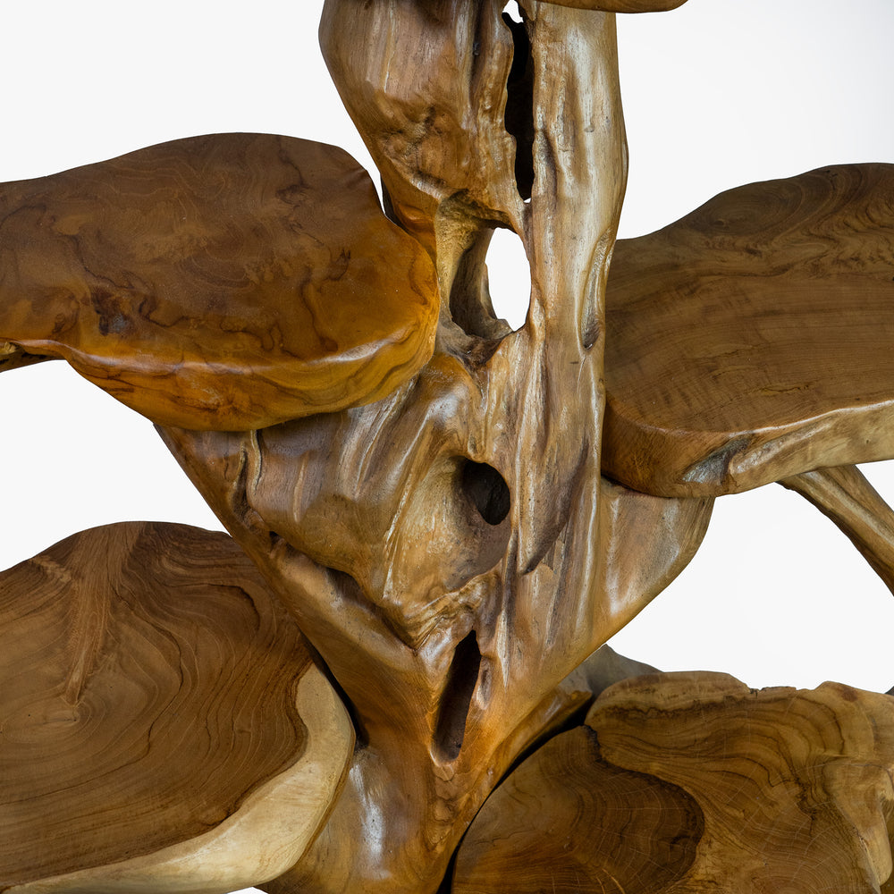 The Saka Display Shelf