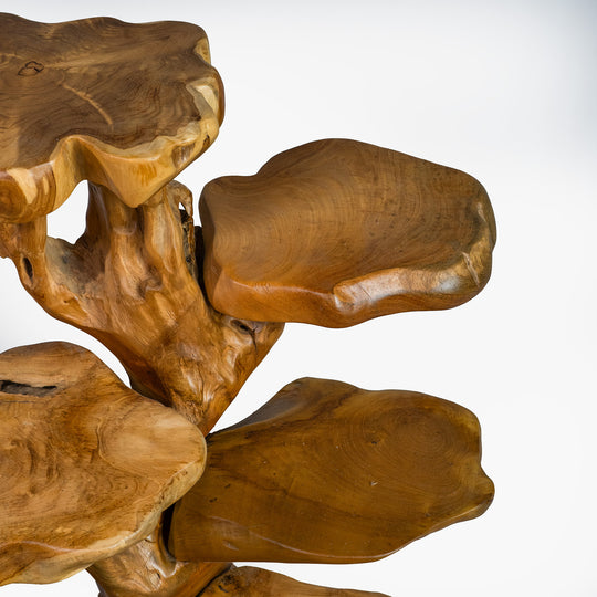 The Loka Display Shelf