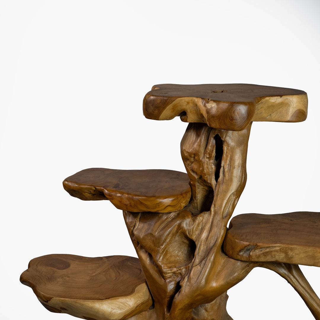 The Saka Display Shelf