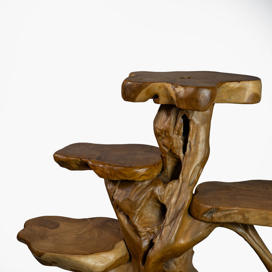 The Saka Display Shelf