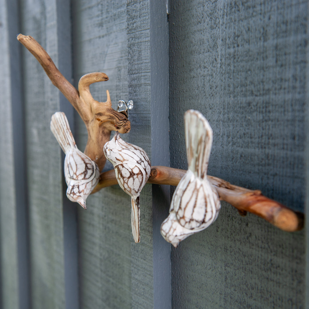 Oiseaux blancs sur bois flotté