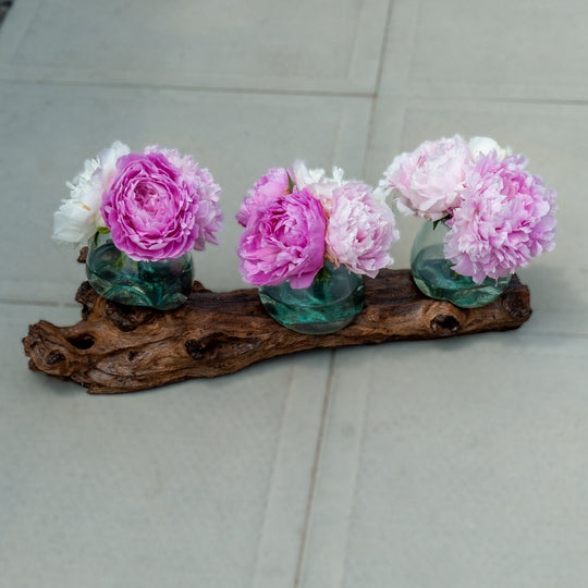 Horizontal Triple Glass Globes on Gamal Wood