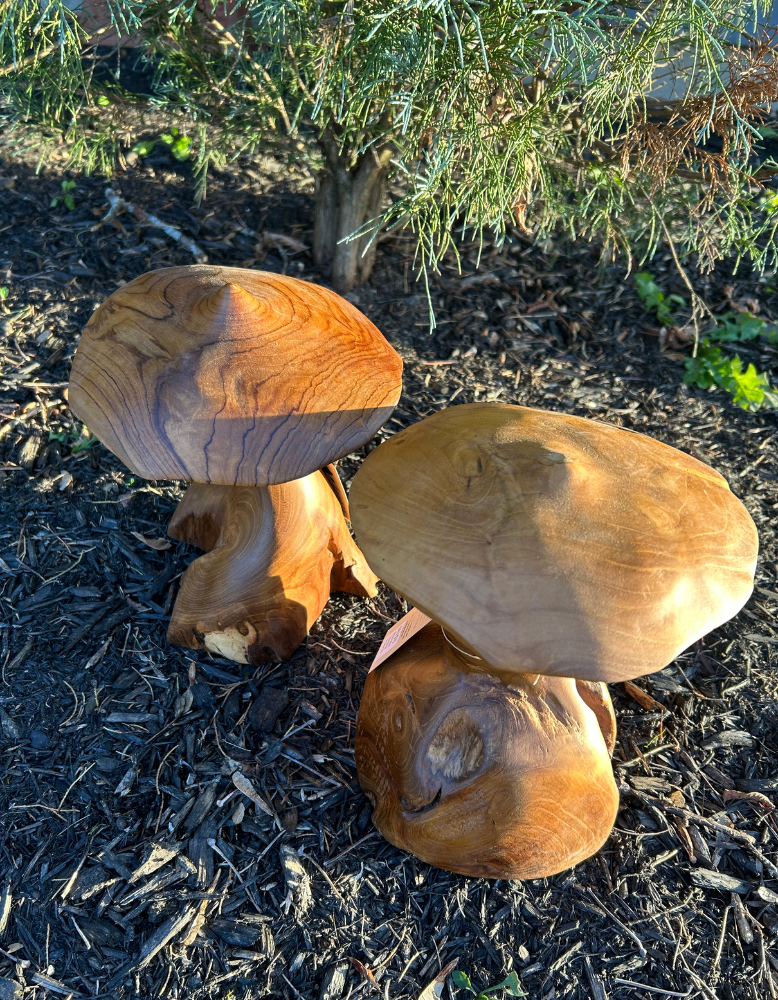 Hand Carved Teak Wood Mushroom - Large