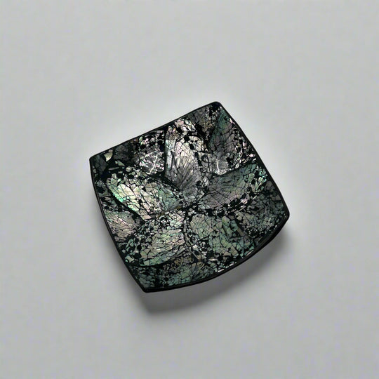 Black Shell Square Bowl