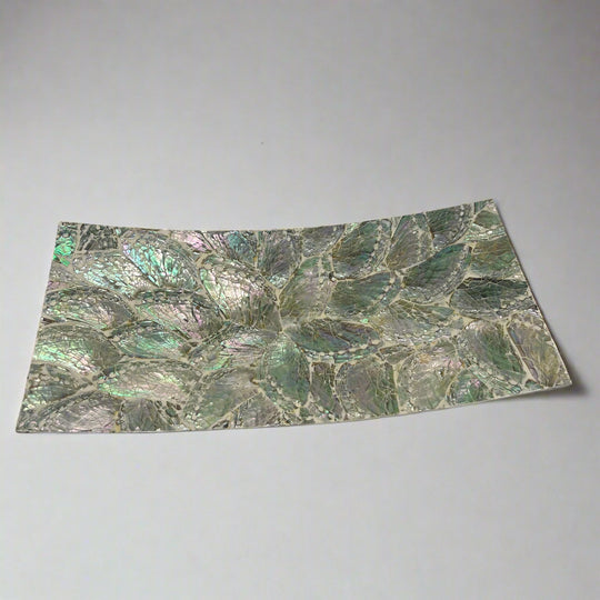 White Shell Rectangle Dish