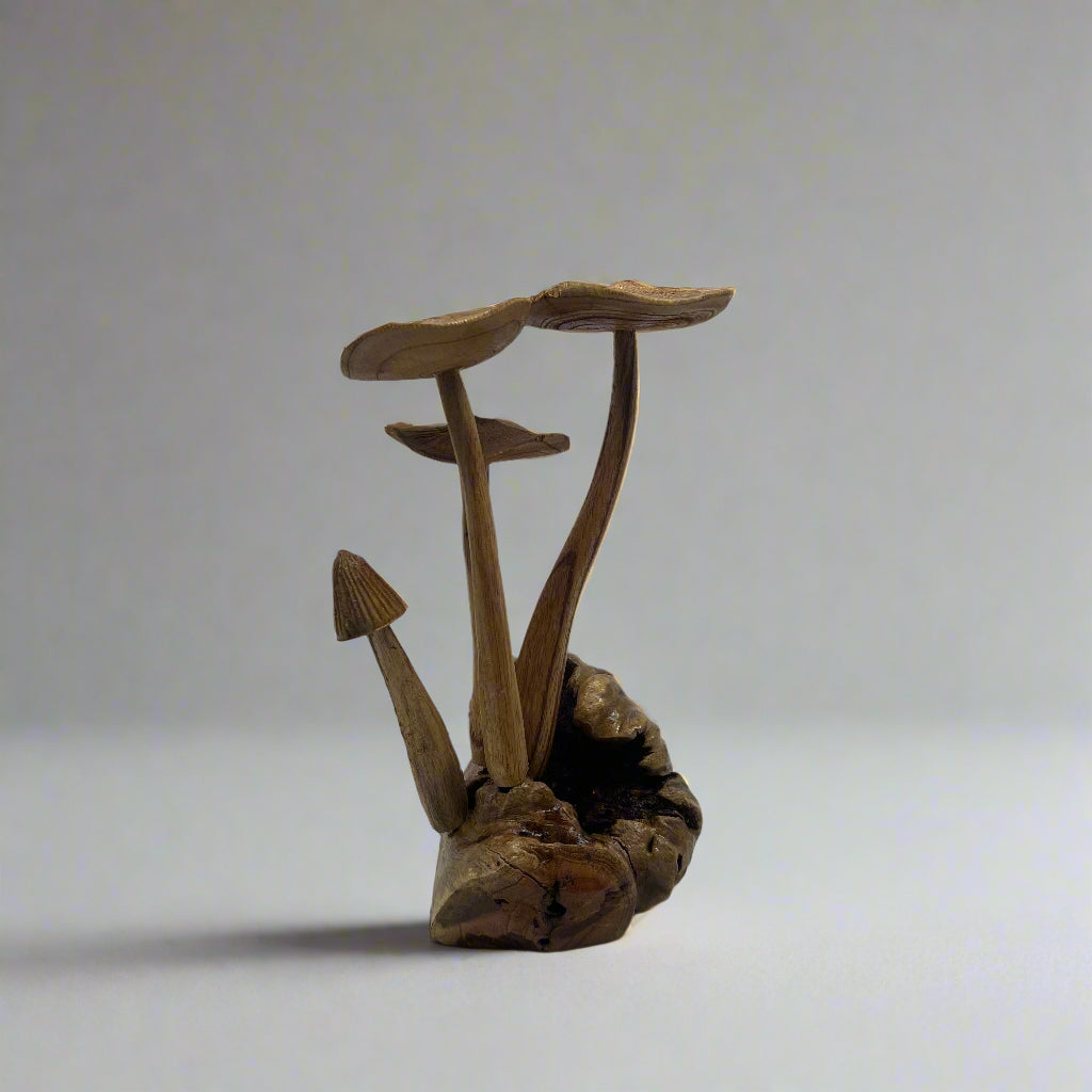 Hand-Carved Suar Wood Mushrooms
