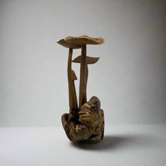 Hand-Carved Suar Wood Mushrooms