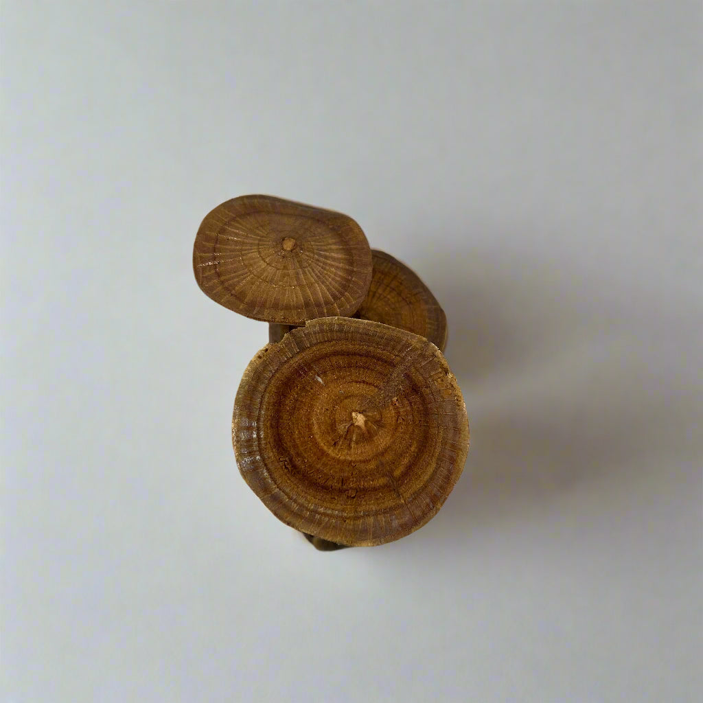 Hand-Carved Suar Wood Mushrooms