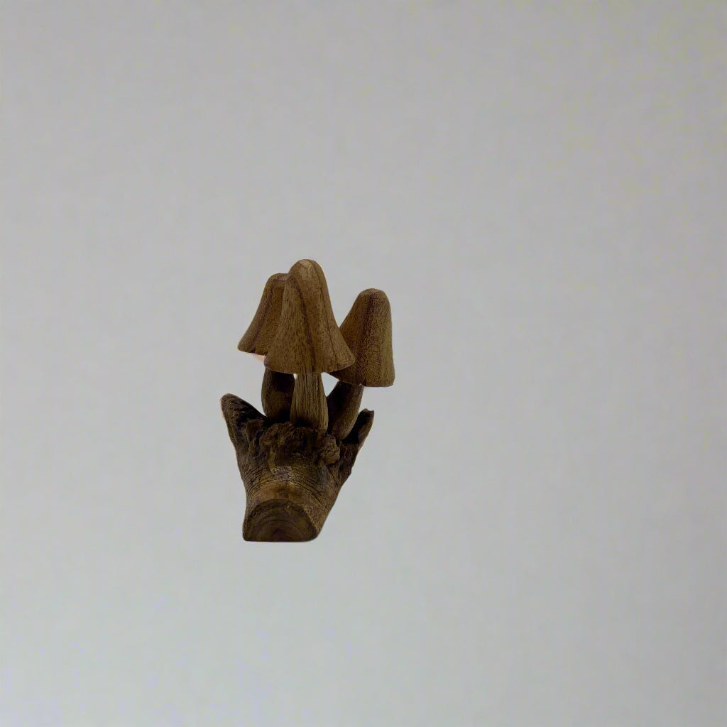 Hand-Carved Small Suar Wood Mushrooms