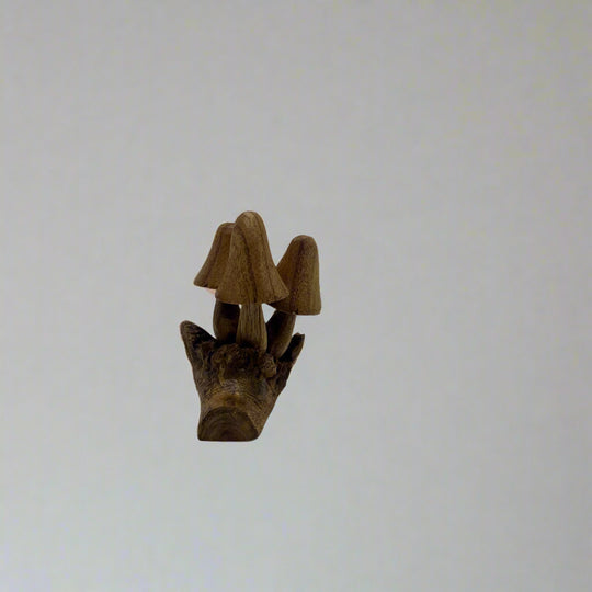 Hand-Carved Small Suar Wood Mushrooms