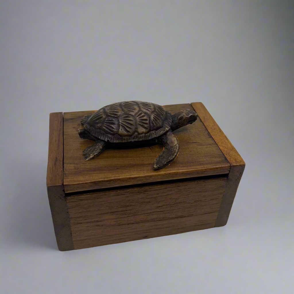 Turtle Box