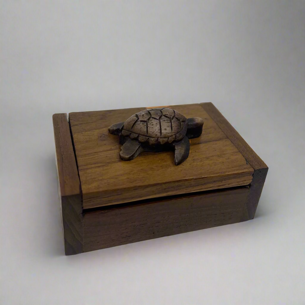 Small Turtle Box