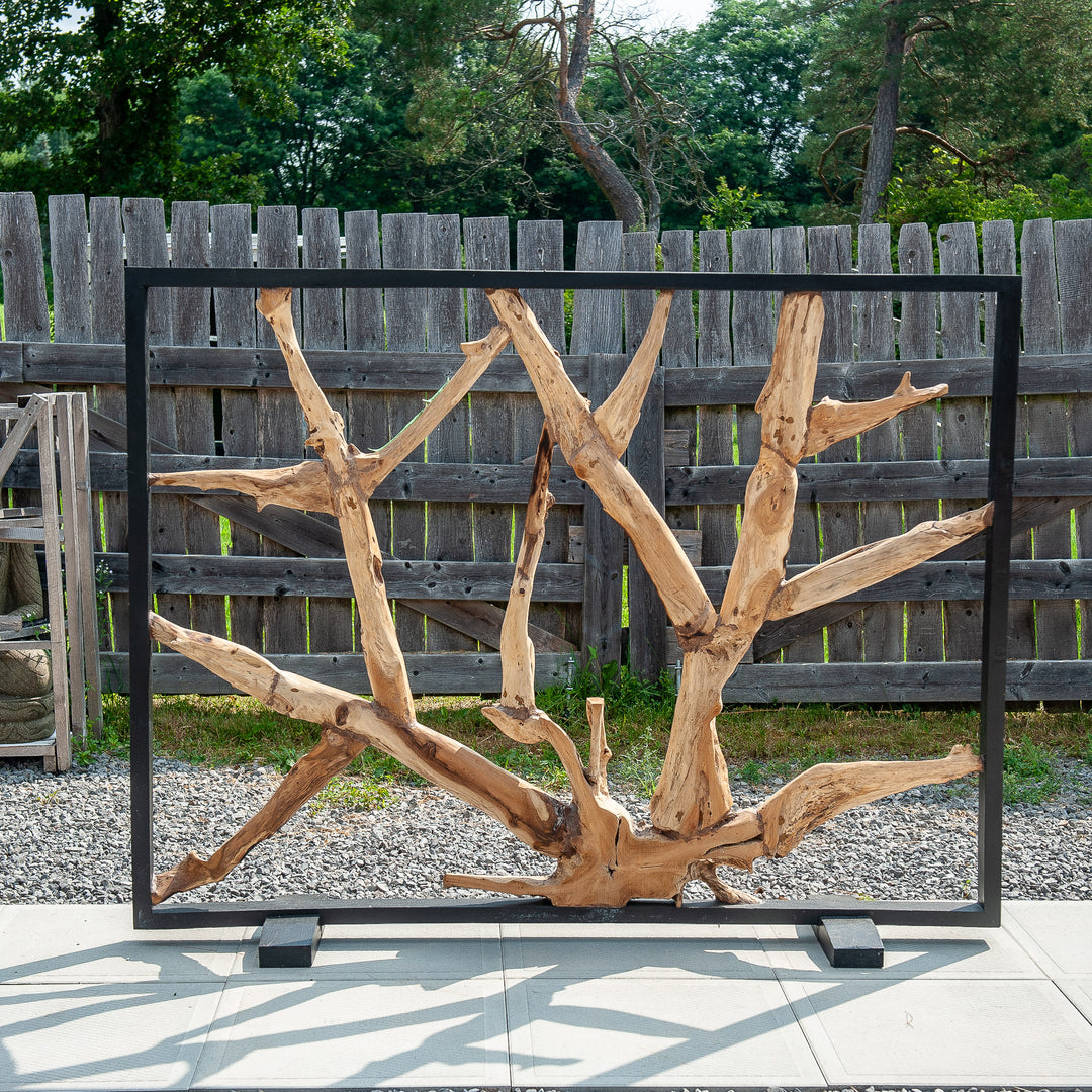 Javanese Framed Teak Root Sculpture