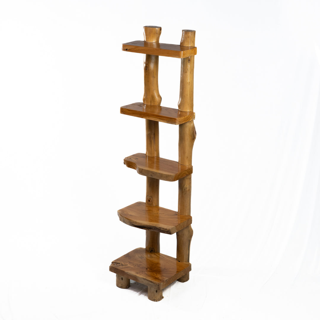 The Sagara Ladder Shelf