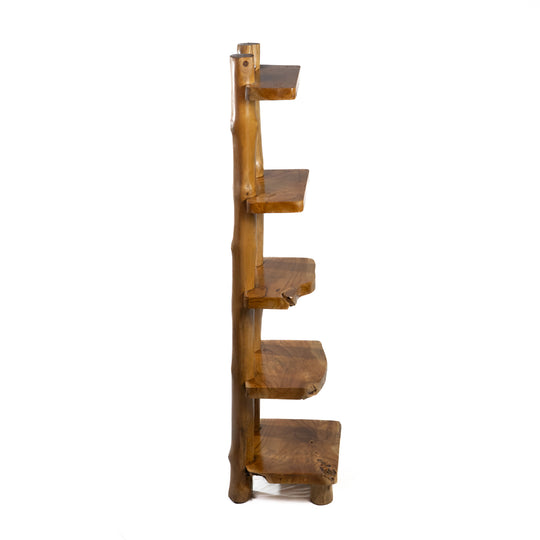 The Sagara Ladder Shelf