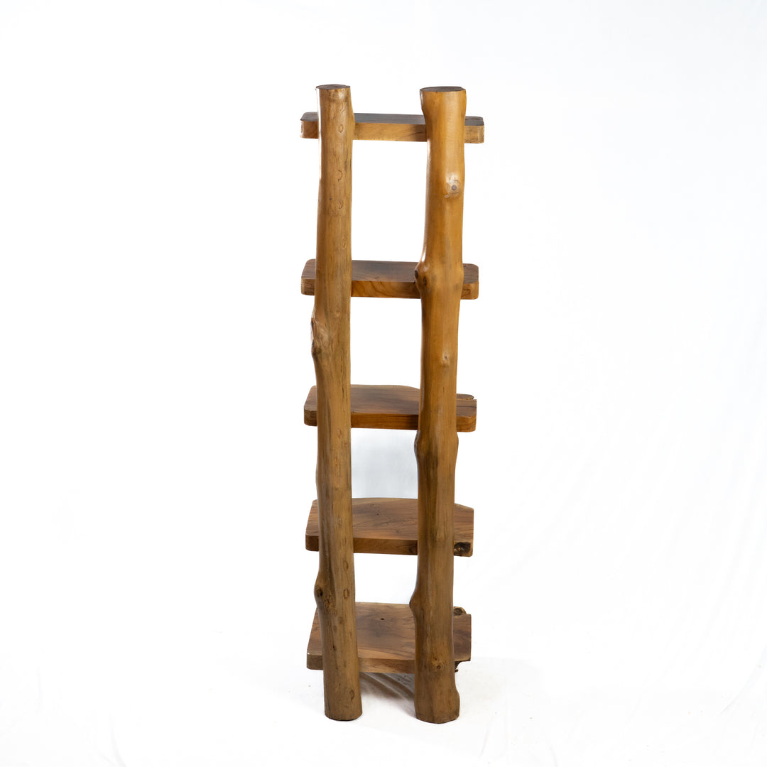 The Sagara Ladder Shelf