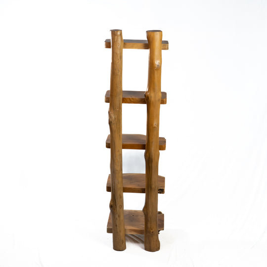 The Sagara Ladder Shelf