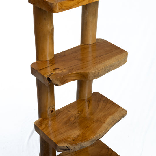 The Sagara Ladder Shelf