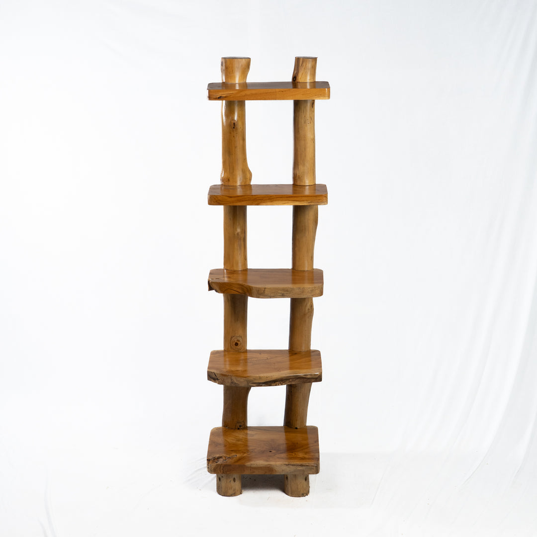 The Sagara Ladder Shelf