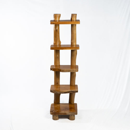 The Sagara Ladder Shelf