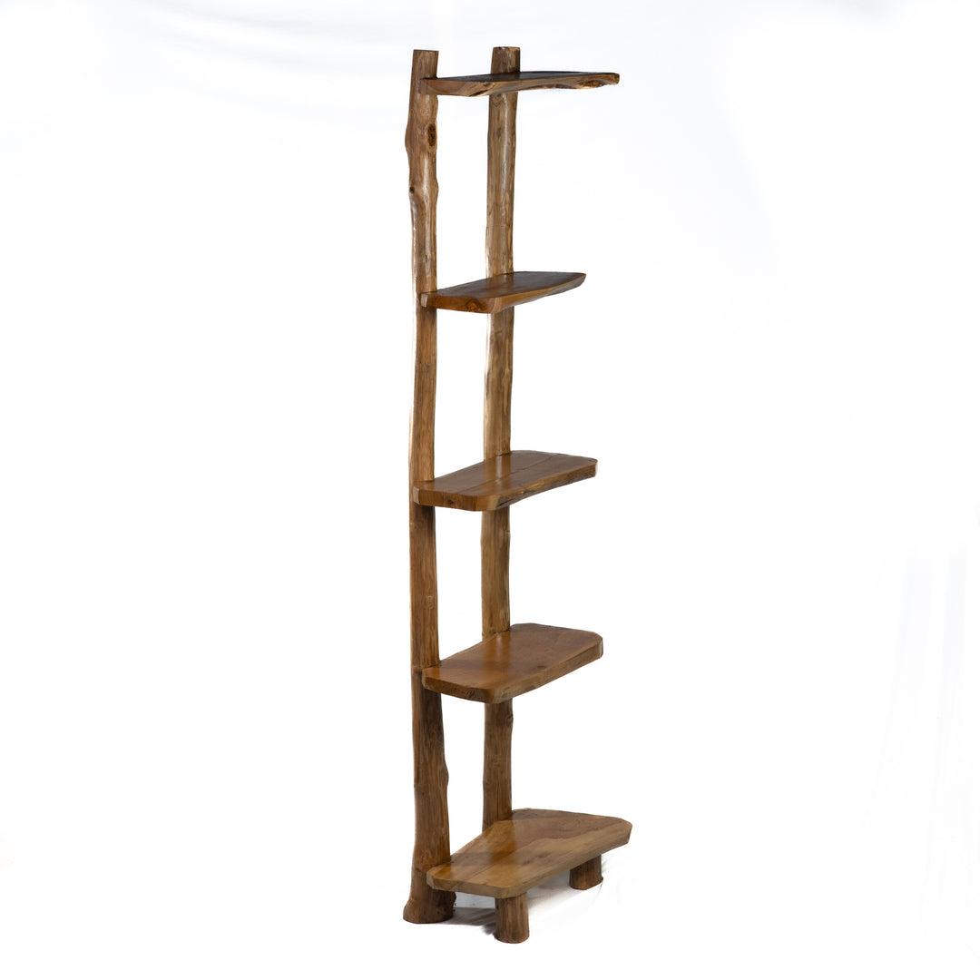 The Meraki Ladder Shelf