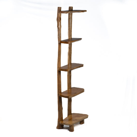 The Meraki Ladder Shelf