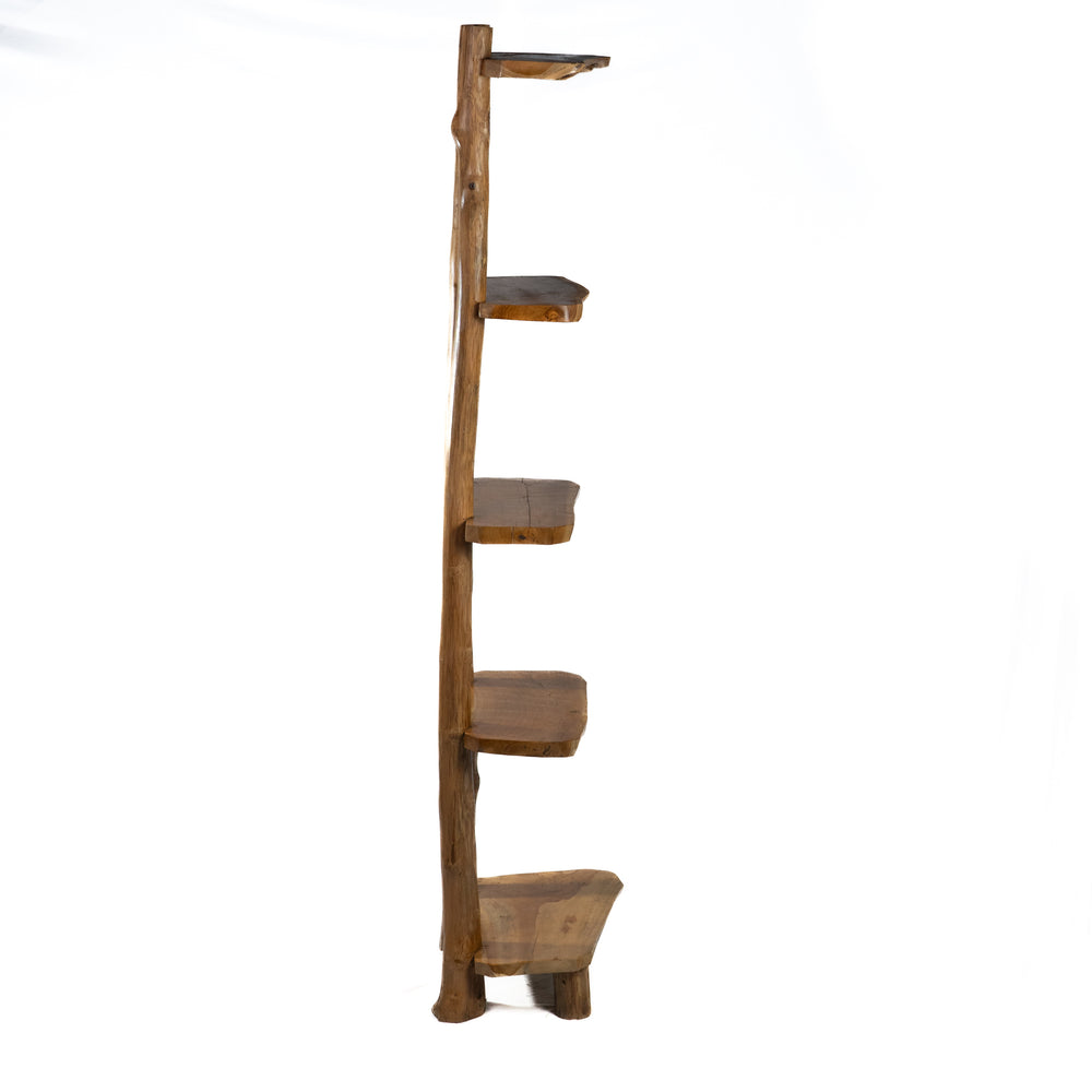 The Meraki Ladder Shelf