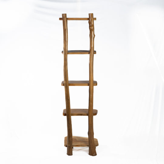 The Meraki Ladder Shelf