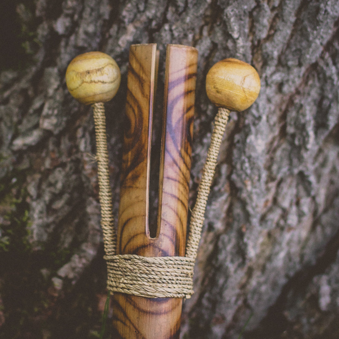 Bamboo Noisemaker