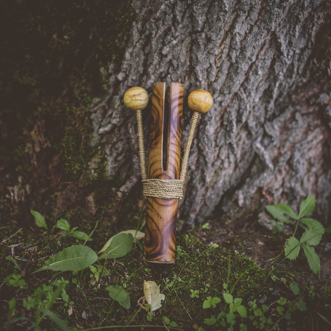 Bamboo Noisemaker