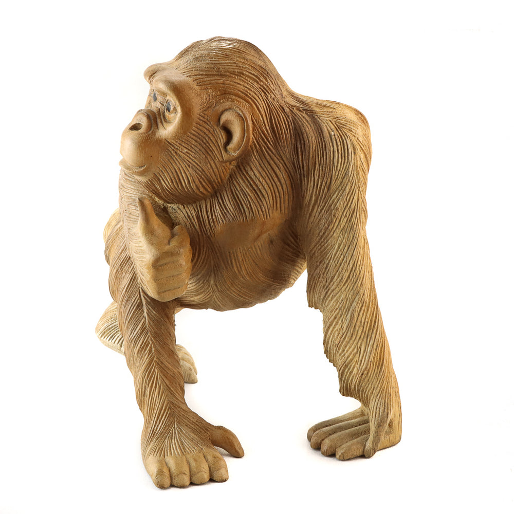 Singe Suar - Pouce en l'air