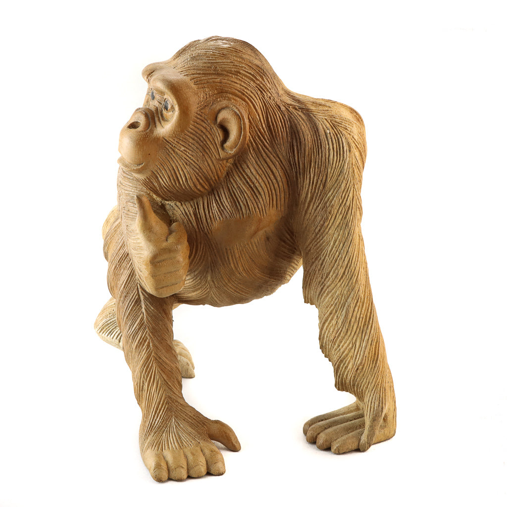 Singe Suar - Pouce en l'air