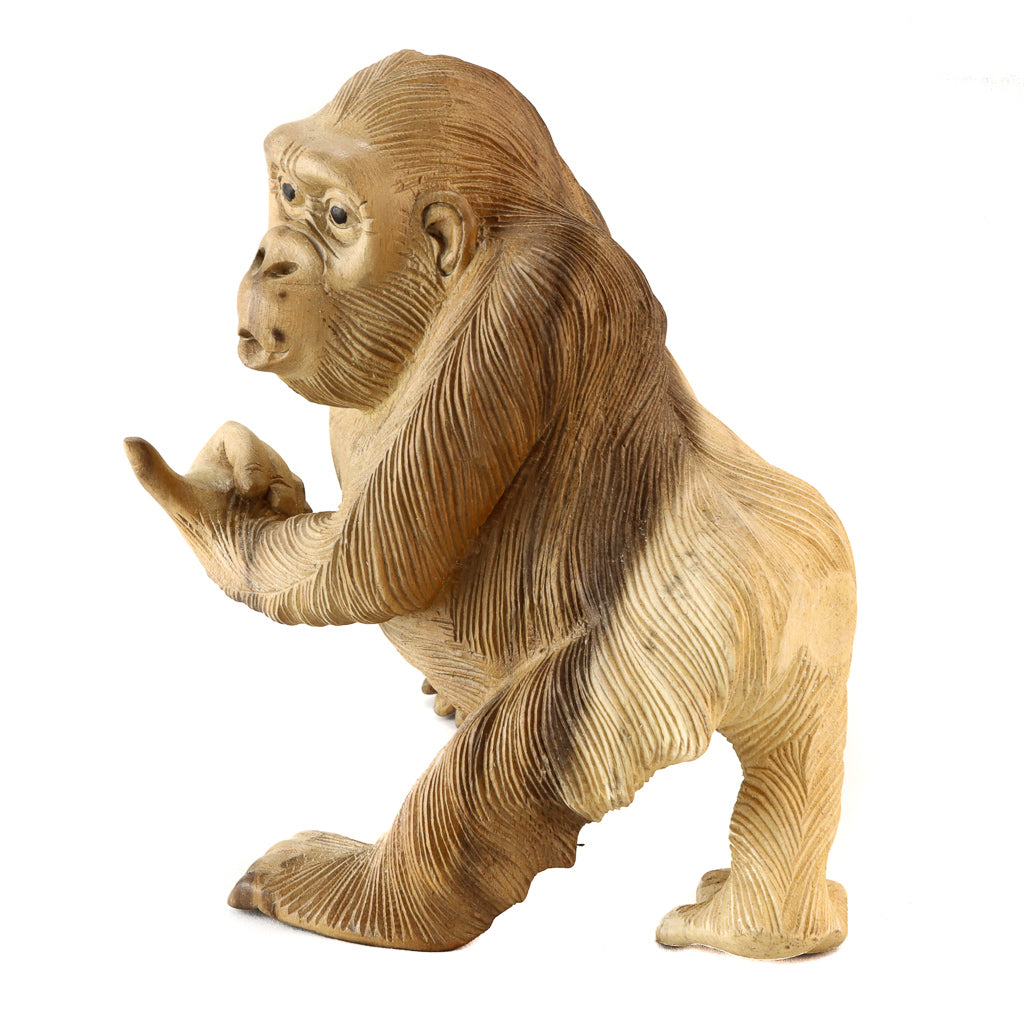 Singe Suar - Pouce en l'air