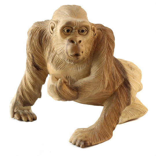 Singe Suar - Pouce en l'air