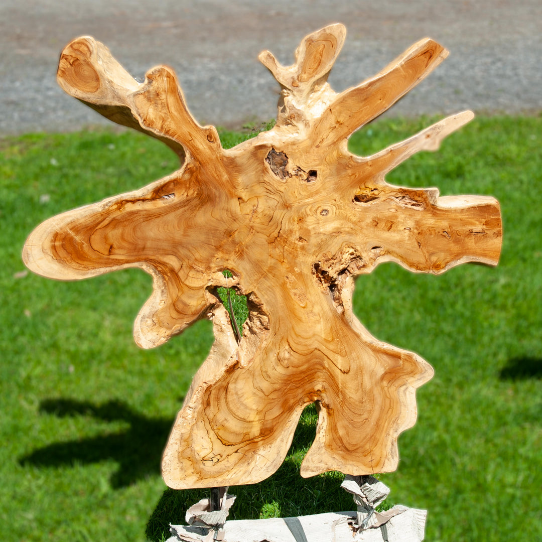 Indonesian Teak Root Sculpture