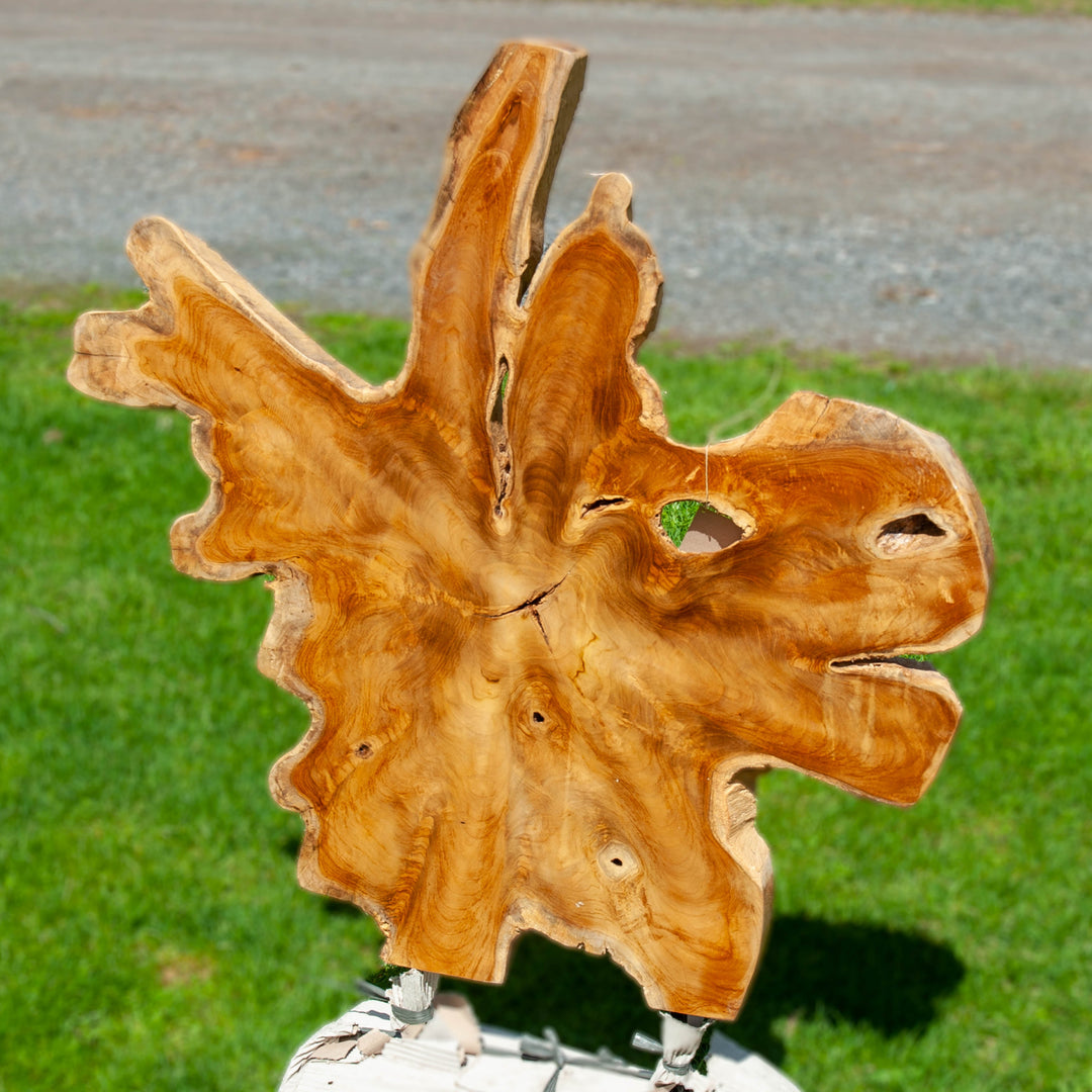 Indonesian Teak Root Sculpture