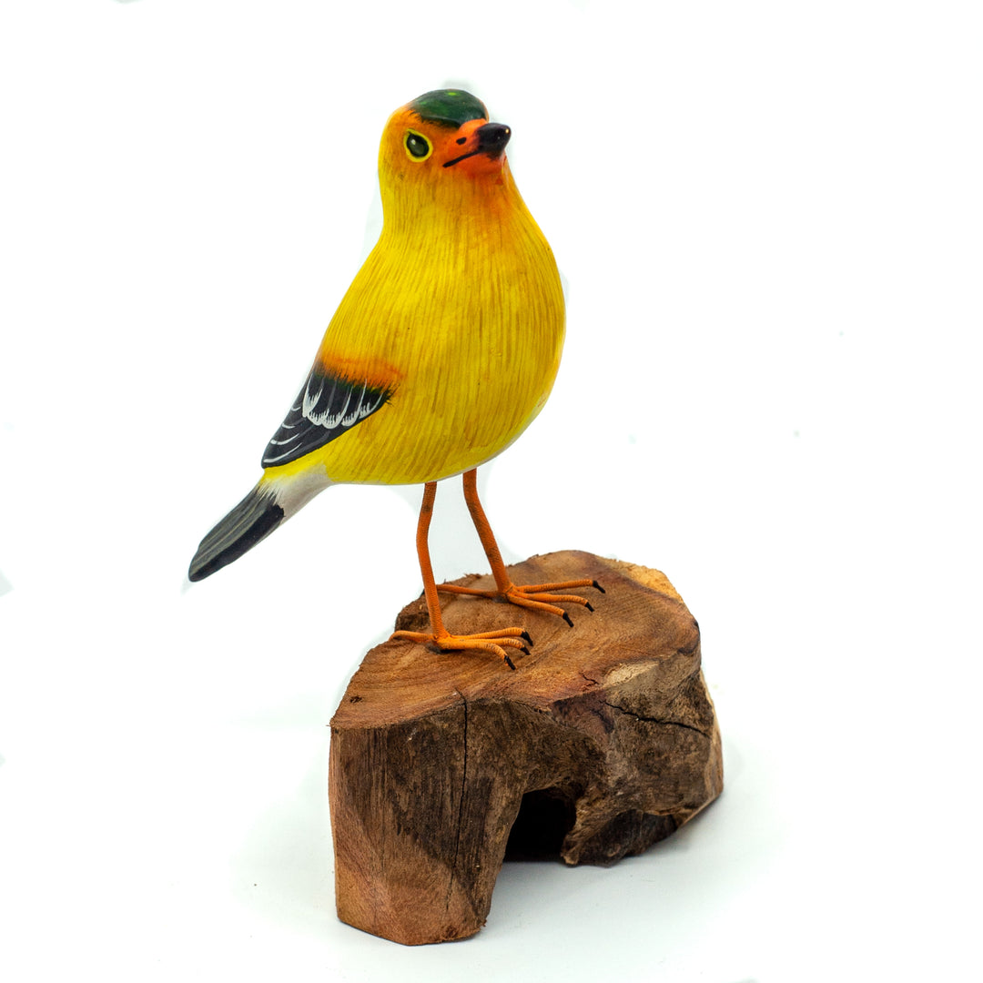 Chardonneret sur bois