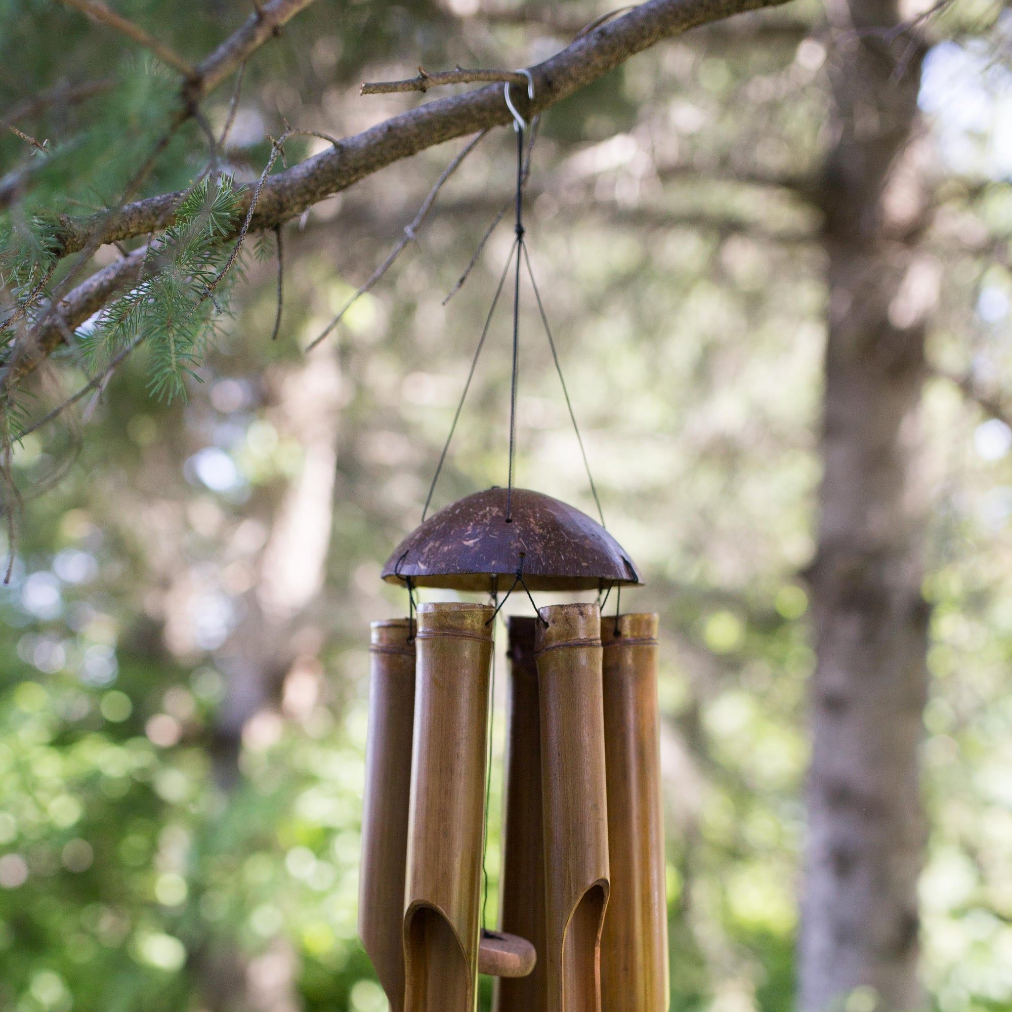 Photo of bamboo windchimes hanging in the tree