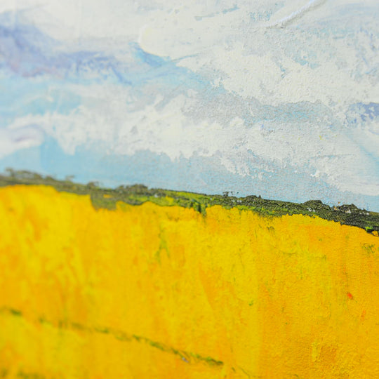 Ciel ouvert sur le terrain - Encadré