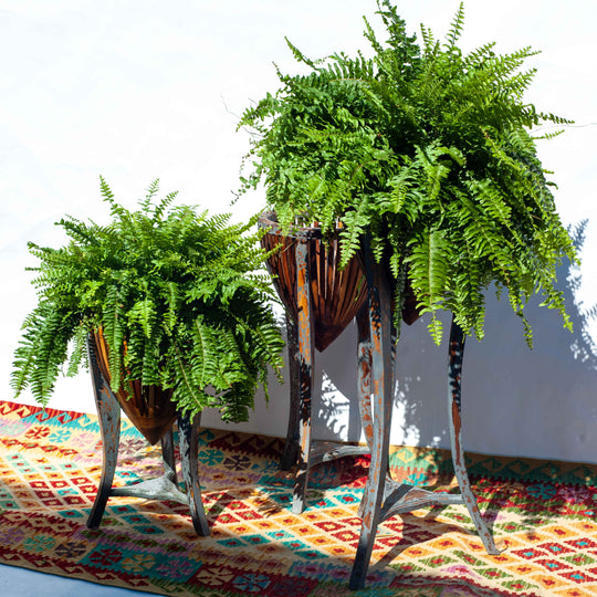 Teak Plant Stand - Gray Wash