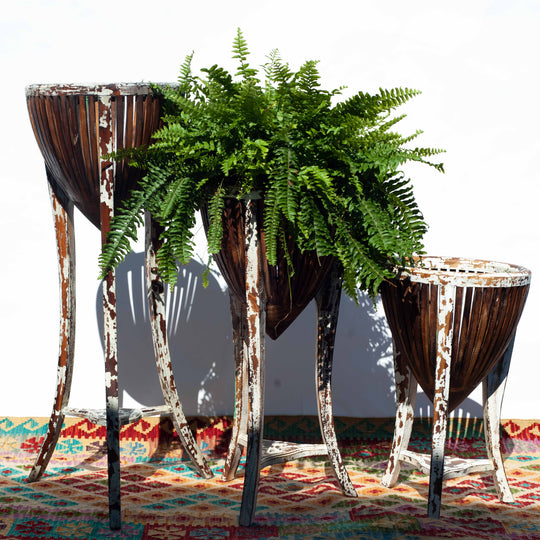 Teak Plant Stand - White Wash