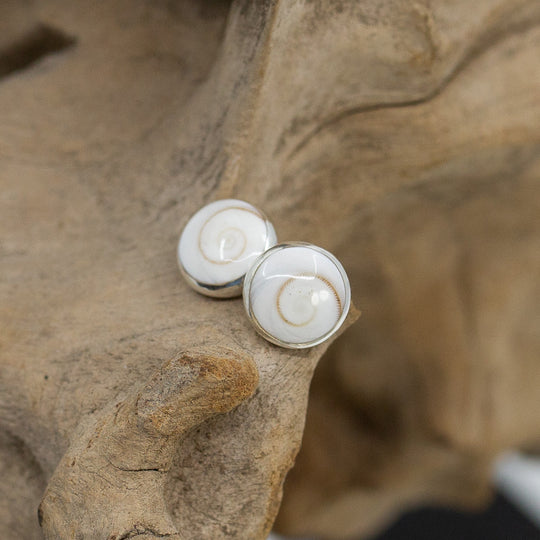 Shiva Shell Stud Earrings