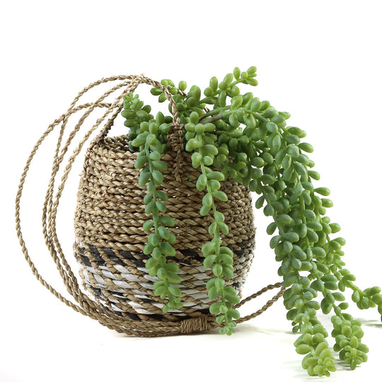 Small Hanging Basket