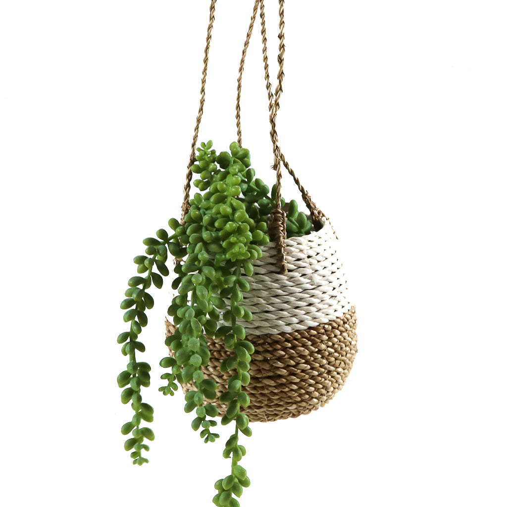 Small Hanging Basket