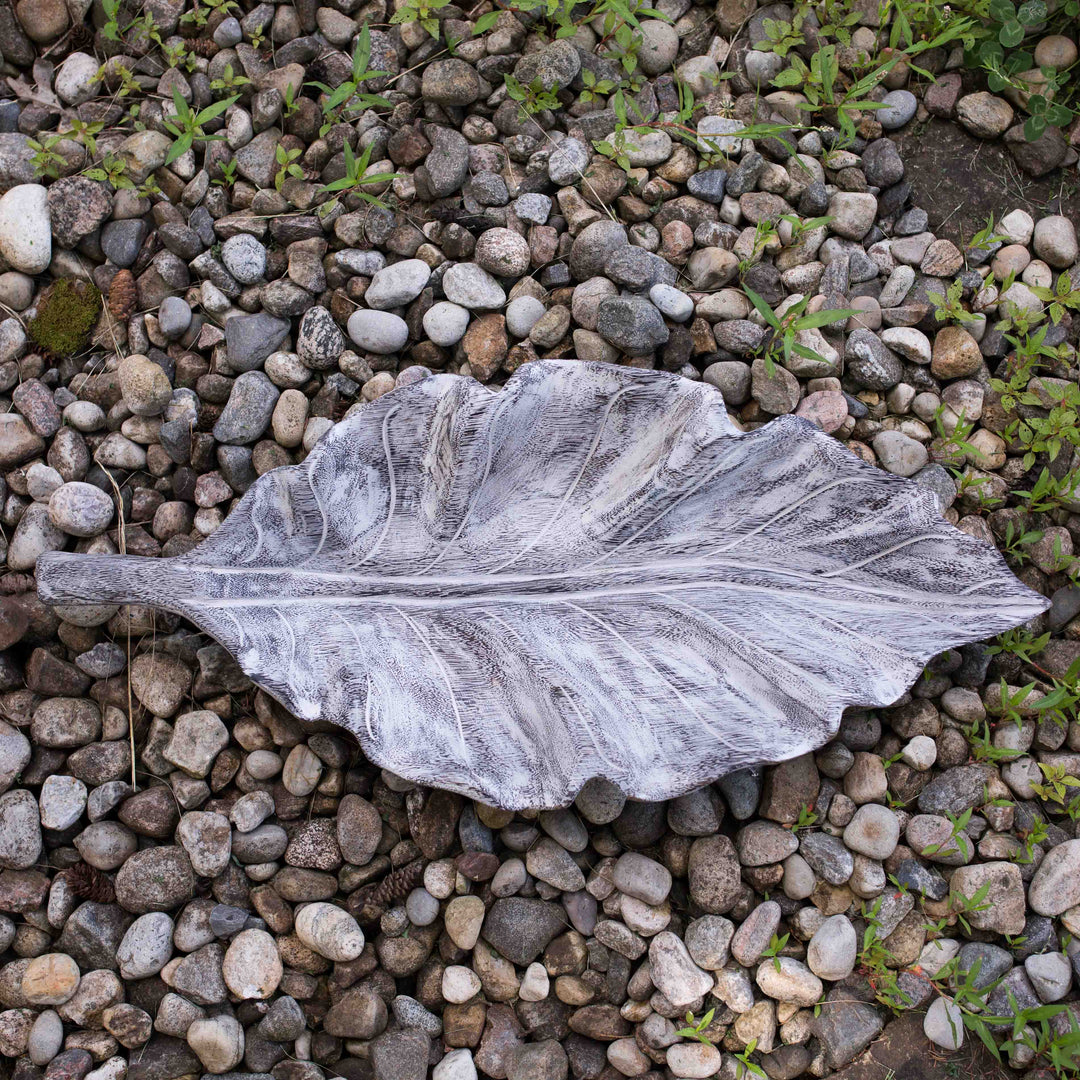 Plateau Feuille De Teck