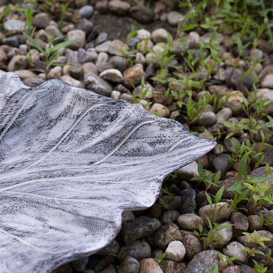 Plateau Feuille De Teck