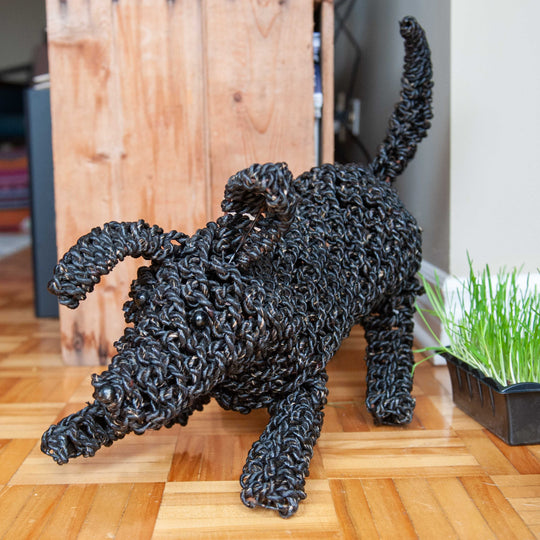 Animal d'herbier - Chien ludique